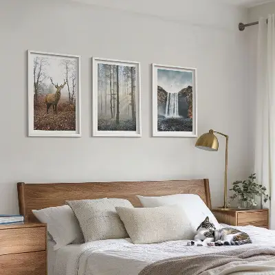 Conjunto de quadros para sala de estar com paisagens florestais e natureza selvagem