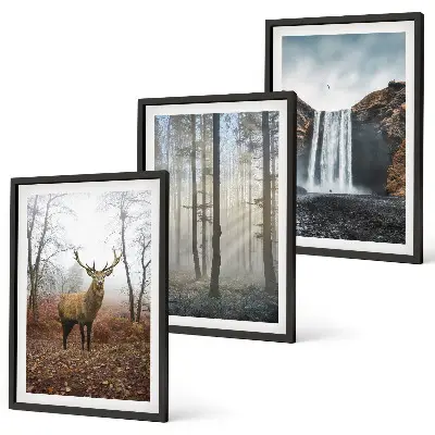 Conjunto de quadros para sala de estar com paisagens florestais e natureza selvagem