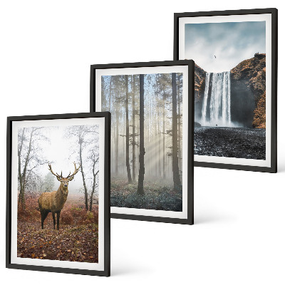 Conjunto de quadros para sala de estar Paisagens florestais, natureza selvagem