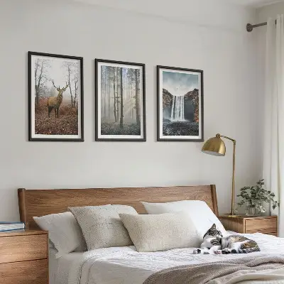 Conjunto de quadros para sala de estar com paisagens florestais e natureza selvagem