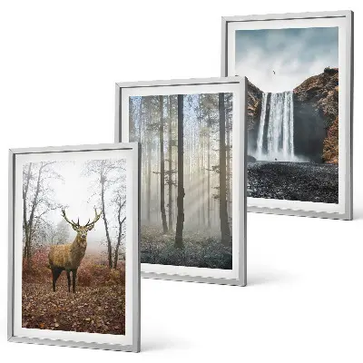 Conjunto de quadros para sala de estar com paisagens florestais e natureza selvagem