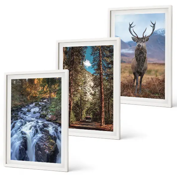 Conjunto de quadros decorativos modernos com paisagem de cachoeira, floresta, montanhas e veado