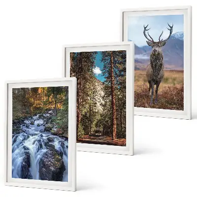 Conjunto de quadros decorativos modernos com paisagem de cachoeira, floresta, montanhas e veado
