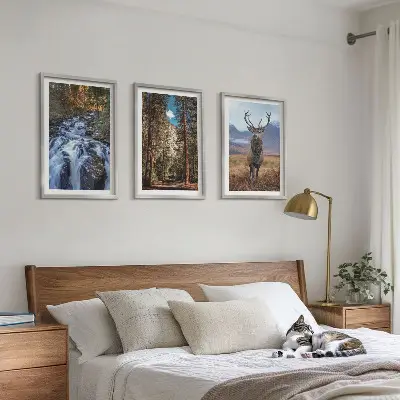 Conjunto de quadros decorativos modernos com paisagem de cachoeira, floresta, montanhas e veado