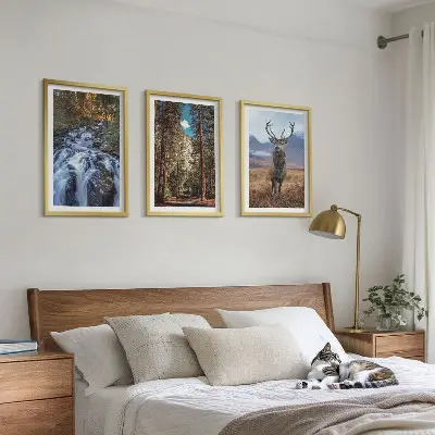 Conjunto de quadros decorativos modernos com paisagem de cachoeira, floresta, montanhas e veado