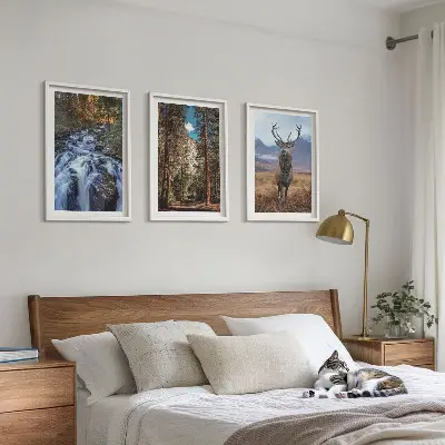 Conjunto de quadros decorativos modernos com paisagem de cachoeira, floresta, montanhas e veado