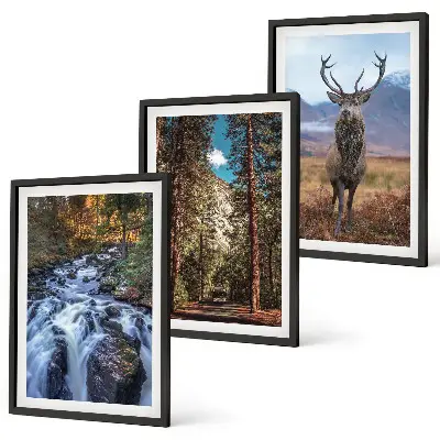 Conjunto de quadros decorativos modernos com paisagem de cachoeira, floresta, montanhas e veado