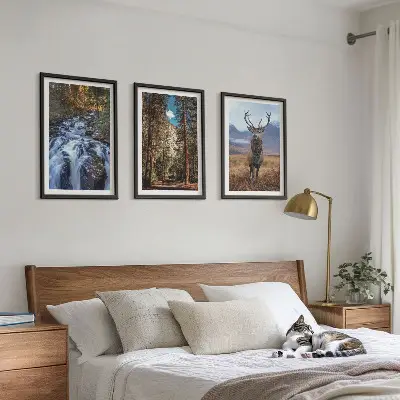Conjunto de quadros decorativos modernos com paisagem de cachoeira, floresta, montanhas e veado