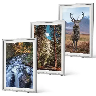 Conjunto de quadros decorativos modernos com paisagem de cachoeira, floresta, montanhas e veado