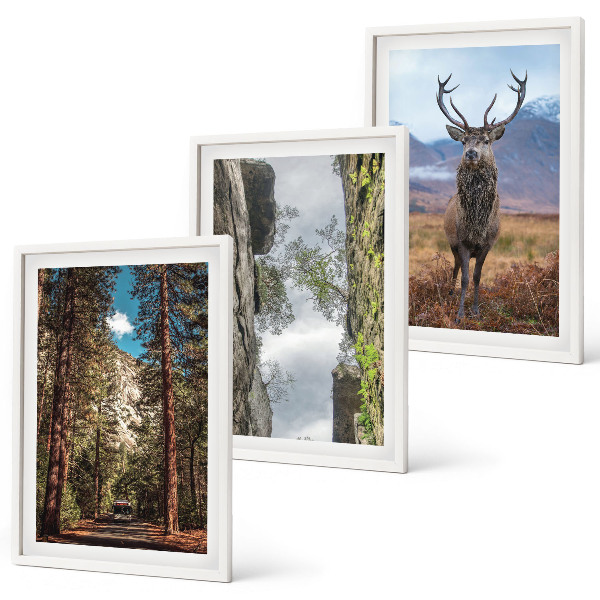 Conjunto de 3 quadros com moldura Estrada floresta montanhas veado natureza