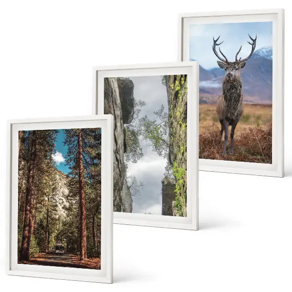 Conjunto de 3 quadros com moldura paisagem de estrada em floresta com montanhas e veado