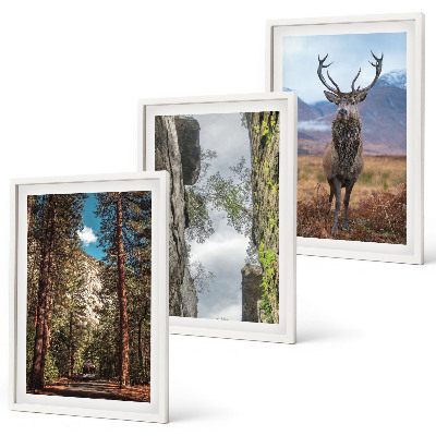 Conjunto de 3 quadros com moldura Estrada floresta montanhas veado natureza