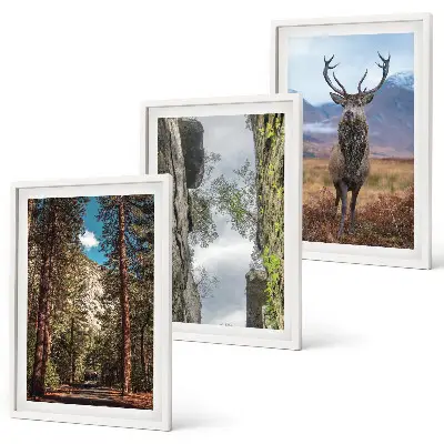 Conjunto de 3 quadros com moldura paisagem de estrada em floresta com montanhas e veado