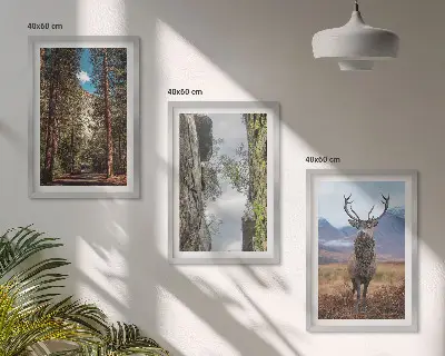 Conjunto de 3 quadros com moldura paisagem de estrada em floresta com montanhas e veado