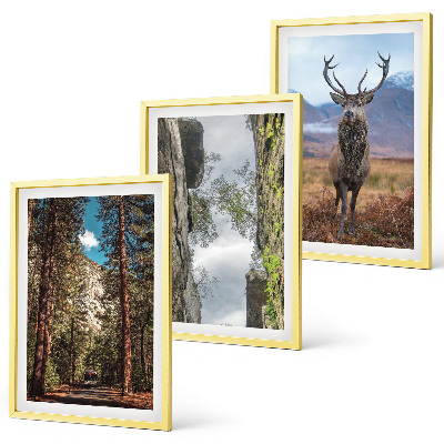 Conjunto de 3 quadros com moldura Estrada floresta montanhas veado natureza