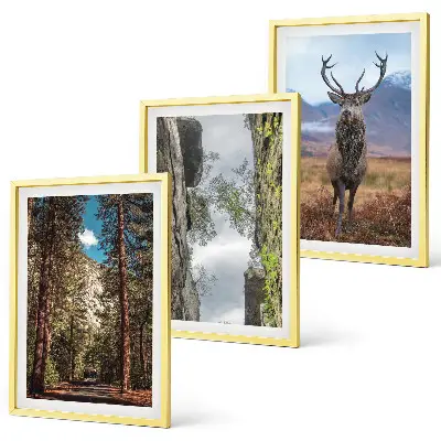 Conjunto de 3 quadros com moldura paisagem de estrada em floresta com montanhas e veado