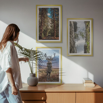 Conjunto de 3 quadros com moldura Estrada floresta montanhas veado natureza