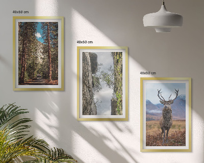 Conjunto de 3 quadros com moldura Estrada floresta montanhas veado natureza