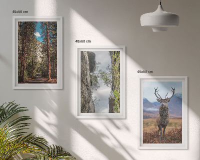 Conjunto de 3 quadros com moldura Estrada floresta montanhas veado natureza