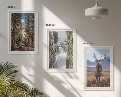 Conjunto de 3 quadros com moldura paisagem de estrada em floresta com montanhas e veado