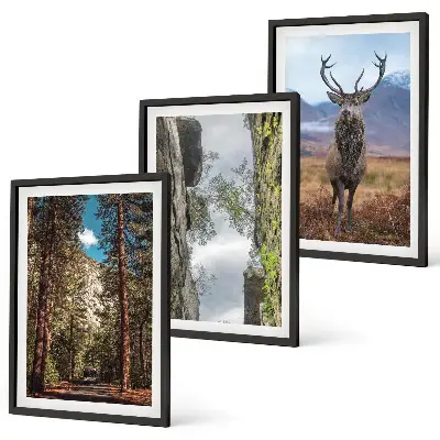 Conjunto de 3 quadros com moldura paisagem de estrada em floresta com montanhas e veado