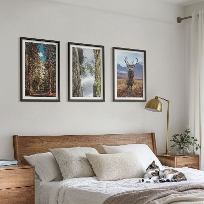 Conjunto de 3 quadros com moldura Estrada floresta montanhas veado natureza