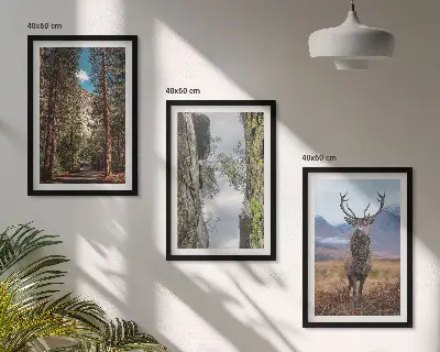Conjunto de 3 quadros com moldura paisagem de estrada em floresta com montanhas e veado
