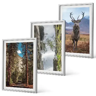 Conjunto de 3 quadros com moldura paisagem de estrada em floresta com montanhas e veado