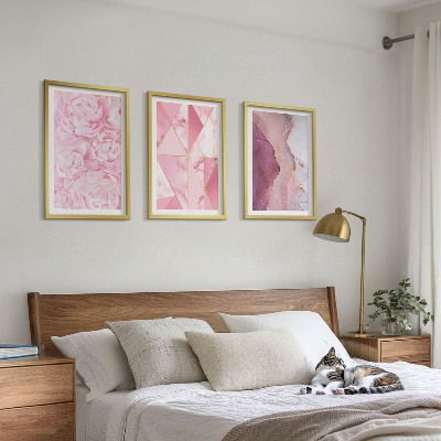 Composição de quadros moderna Peônias geométricas rosa