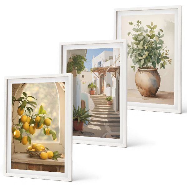 Conjunto de 3 quadros com moldura Limões num vaso de plantas