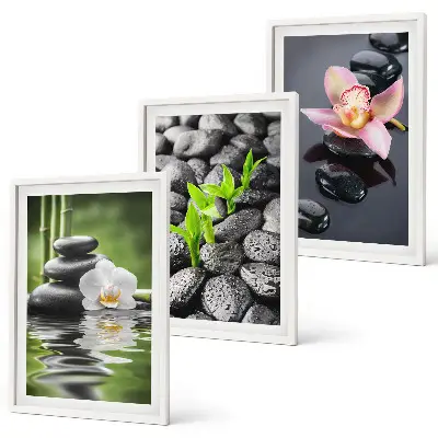 Conjunto de quadros para sala de estar com composição zen serena de flores e água