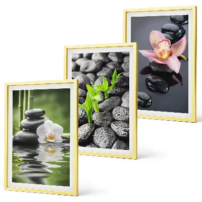 Conjunto de quadros para sala de estar com composição zen serena de flores e água