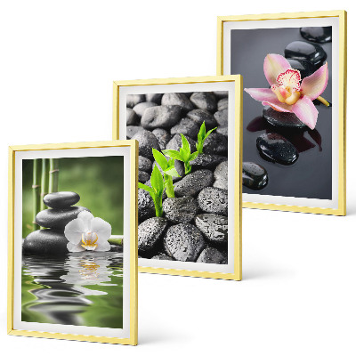 Conjunto de quadros para sala de estar Uma composição zen serena de flores e água.