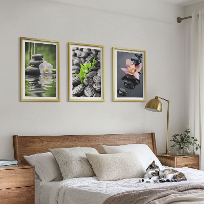 Conjunto de quadros para sala de estar Uma composição zen serena de flores e água.