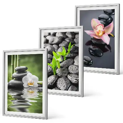 Conjunto de quadros para sala de estar com composição zen serena de flores e água