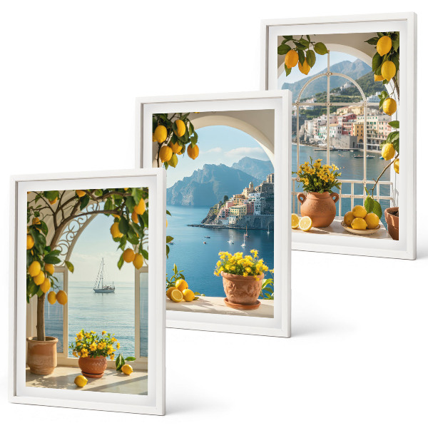 Conjunto de 3 quadros com moldura flores de limão da cidade litorânea