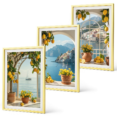 Conjunto de 3 quadros com moldura flores de limão da cidade litorânea