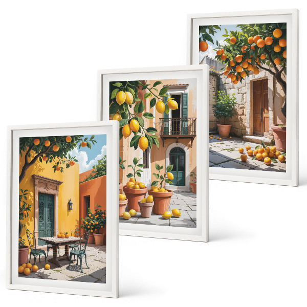 Composição de quadros moderna Frutas cítricas no jardim