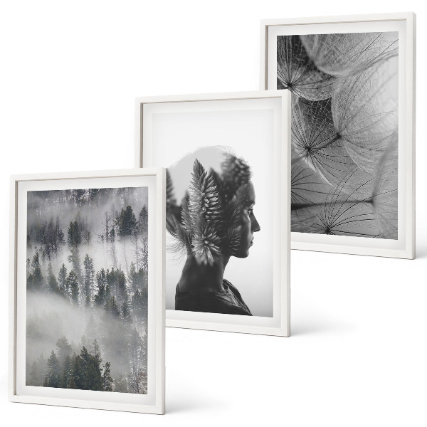 Conjunto de 3 quadros com moldura Floresta com neblina, retrato de árvore e dente-de-leão