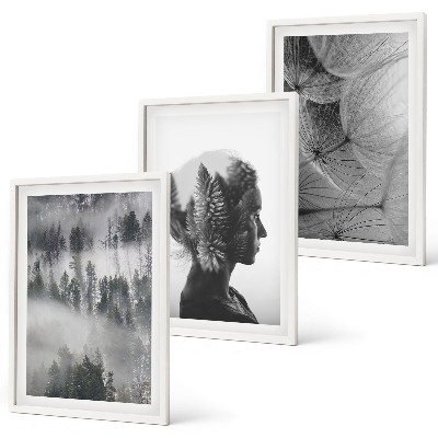 Conjunto de 3 quadros com moldura Floresta com neblina, retrato de árvore e dente-de-leão