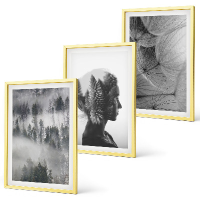 Conjunto de 3 quadros com moldura Floresta com neblina, retrato de árvore e dente-de-leão