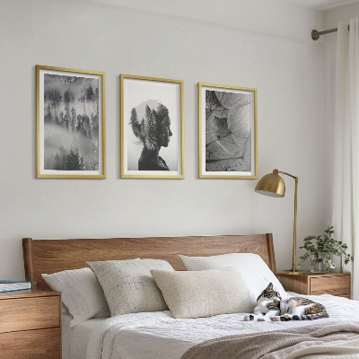 Conjunto de 3 quadros com moldura Floresta com neblina, retrato de árvore e dente-de-leão