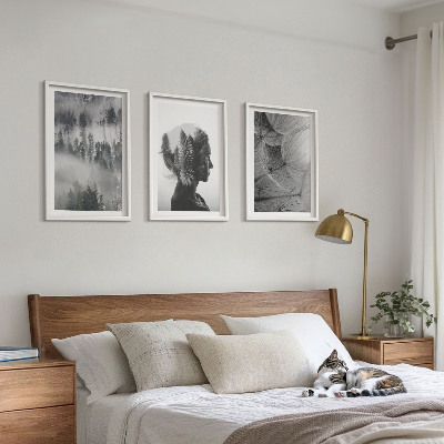 Conjunto de 3 quadros com moldura Floresta com neblina, retrato de árvore e dente-de-leão
