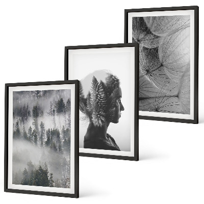Conjunto de 3 quadros com moldura Floresta com neblina, retrato de árvore e dente-de-leão