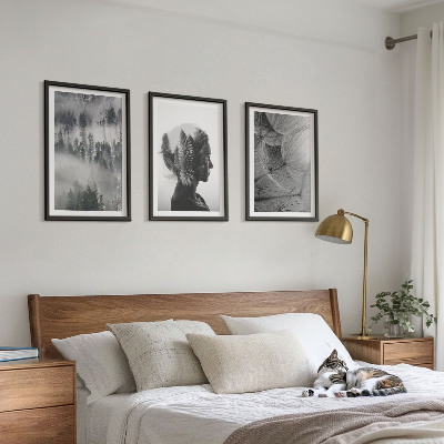 Conjunto de 3 quadros com moldura Floresta com neblina, retrato de árvore e dente-de-leão