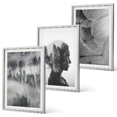 Conjunto de 3 quadros com moldura Floresta com neblina, retrato de árvore e dente-de-leão