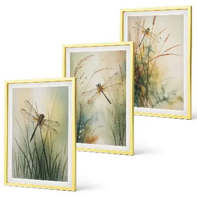 Conjunto de quadros moderno grama e libélula sobre a água