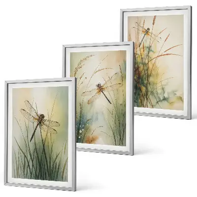Conjunto de quadros moderno grama e libélula sobre a água