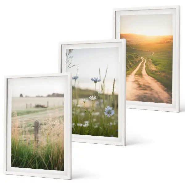 Conjunto de quadros decorativos modernos com paisagens de natureza campos e caminhos