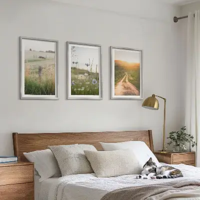 Conjunto de quadros decorativos modernos com paisagens de natureza campos e caminhos